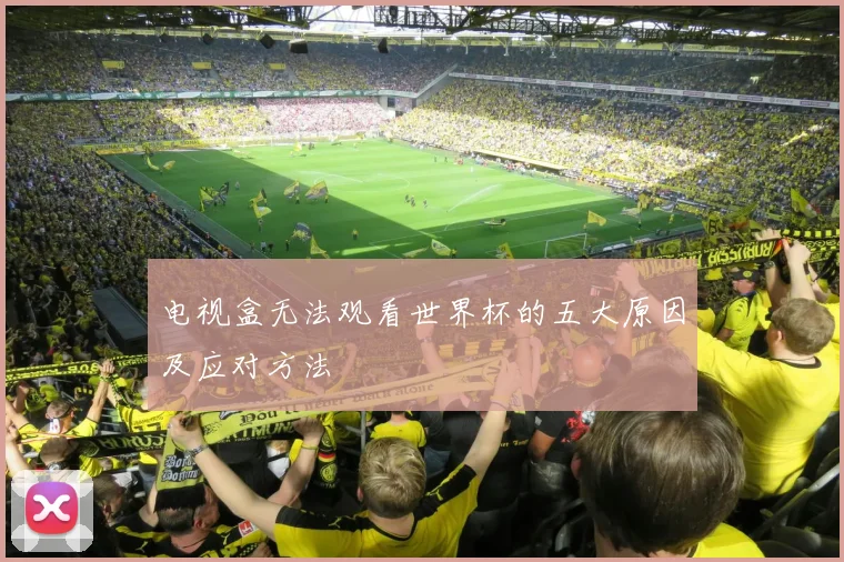 电视盒无法观看世界杯的五大原因及应对方法