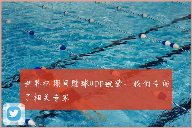 世界杯期间赌球app被禁，我们专访了相关专家