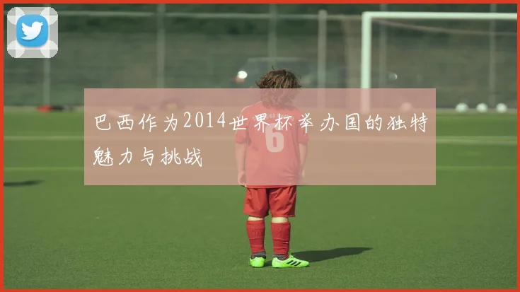 巴西作为2014世界杯举办国的独特魅力与挑战